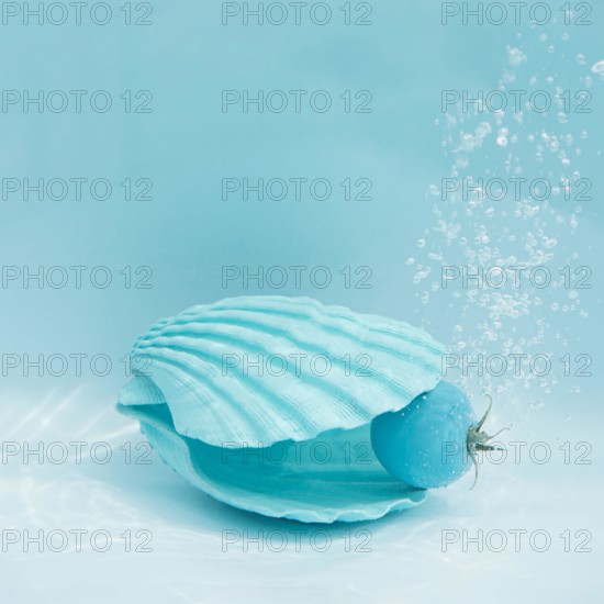 Blue sea shell and tomato with air bubbles in the water. Summer minimal concept with healthy food. Square with copy space. Isometric