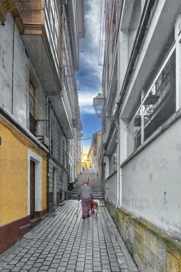Older man with a dog heading towards some stairs in a narrow street in the concept of the loneliness of people when they reach adulthood.