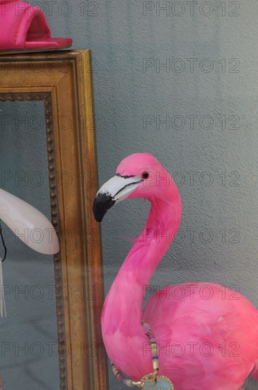 A flamingo in front of art deco background
