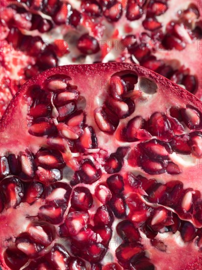 Another in my ongoing series of photogenic fruit and vegetables. This Pomegranate is not a favourite of mine. In fact, I just hate the things, and the way the damn seeds get everywhere. But my wife loves them. De gustibus... In fact, she was about to eat this handsome example, when I spotted its vivid symmetries and decide to photograph it instead. But she got it in the end!