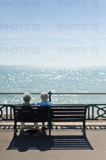 Elderly old couple on a bench enjoying the sun at the seaside while their dog lies underneath in the shade, UK