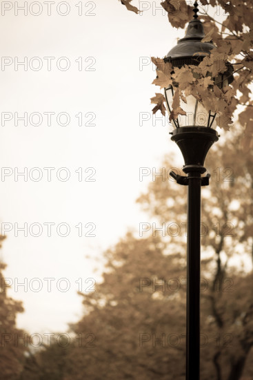 Old antique gas lamp post.