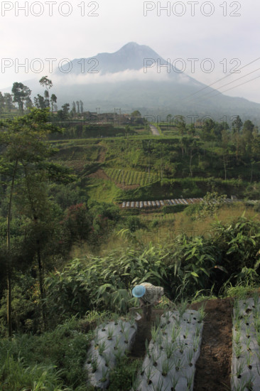 Farmer village near Mt Merapi Indonesia volcano