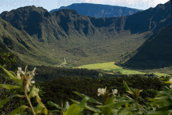 Vegetation in the approach to the volcano Piton de la Fournaise volcano, also known as smelling of vanilla. In a very distant is