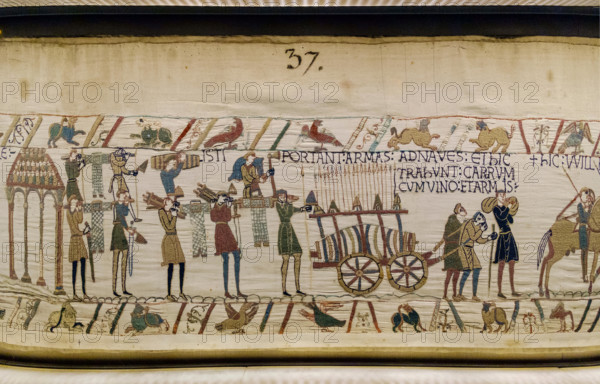 bayeux tapestry close up detail