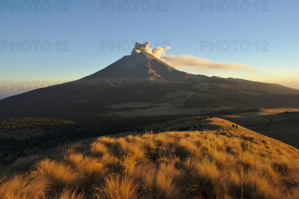 Popocatépetl with ash eruption, evening light, near La Joya, Mexico