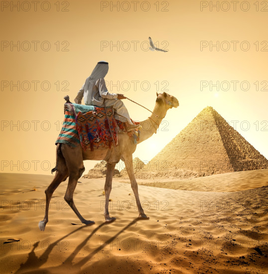 Bedouin and bird
