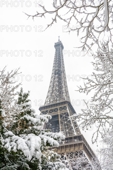 Winter in Paris in the snow. Low angle view of the Eiffel tower through snow covered branches.