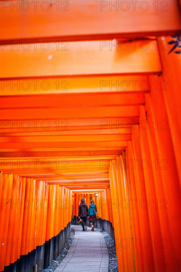 Torii gates at Fushimi Inari-Taisha sanctuary,Kyoto, Japan