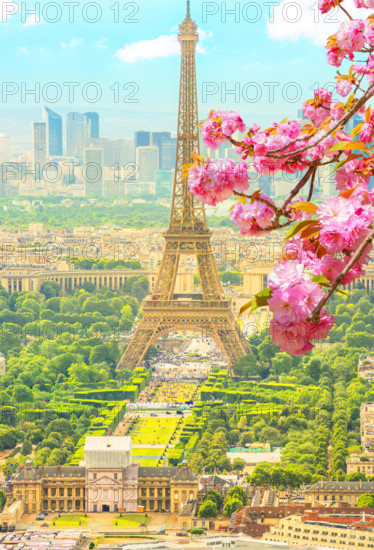 Cherry blossom branch in foreground and cityscape skyline of Paris with Eiffel Tower on background. Seasonal picturesque background. Scenic wallpaper with Eiffel Tower. Vertical shot.