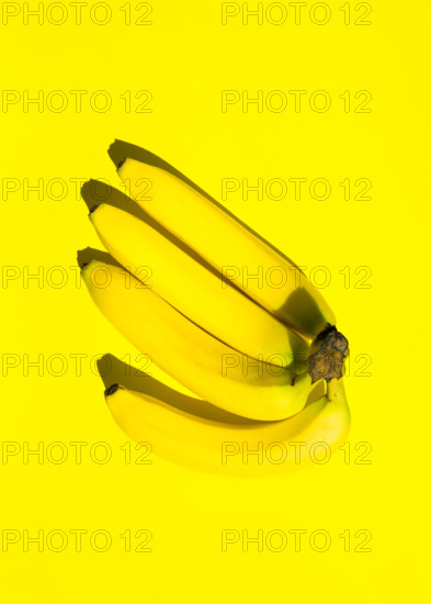 Cluster hand of bananas on solid yellow background. Monochrome. Bright sunlight strong shadow. Trendy funky minimalist style. Pop art. Food fashion po
