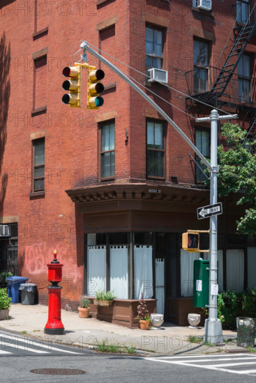 Brooklyn Heights, view in summer of a street corner in a typical residential neighborhood in Brooklyn Heights, Brooklyn, New York City, USA
