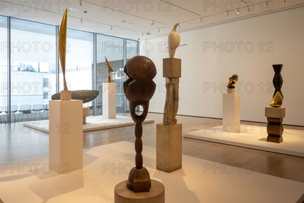 Museum of Modern Art is a cultural institution in New York City, USA  2022