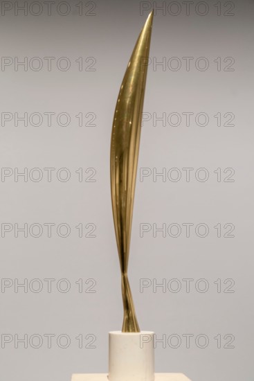Constantin Brancusi, Bird in space, 1926, New National Gallery, Berlin, Federal Republic of Germany