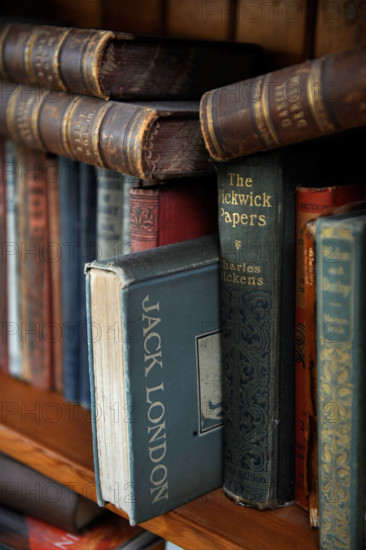 Old hardback books including Jack London's White Fang arranged haphazardly on a bookshelf UK