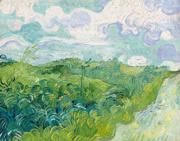 Green Wheat Fields, Auvers by Vincent Van Gogh