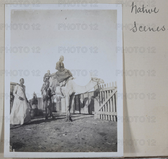 Photograph - Man on a Camel, Egypt, Captain Edward Albert McKenna, World War I, 1914-1915, One of 139 photographs in an album from World War I likely to have been taken by Captain Edward Albert McKenna. The photographs include the 7th Battalion training in Mena Camp, Egypt, and sight-seeing. Image depicting two men mounted on camels. According to one source Mena House, located near Mena Camp, held camel races that were popular with the Australian servicemen. It is possible that this