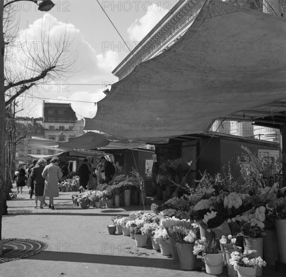 Pariser Bilder [The street life of Paris] Description: Flower stalls at the foot of the Madeleine Date: 1965 Location: France, Paris Keywords: flowers, markets, street sculptures, street vendors