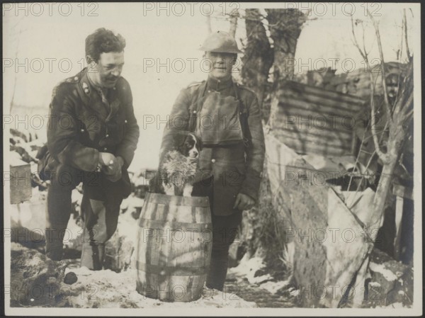 The British Western Front in France Description: The mascot of the Royal Welsh Fusiliers. Annotation: The British Western Front in France. The mascot of the Royal Welsh Fusiliers, a dog. Date: {1914-1918} Location: France Keywords: WWI, fronts, mascots, military
