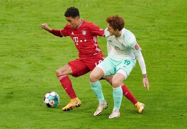 Munich, Germany. 21st Nov, 2020. Jamal MUSIALA, FCB 42 compete for the ball, tackling, duel, header, zweikampf, action, fight against Joshua SARGENT, BRE 19 at the match FC BAYERN MUENCHEN - SV WERDER BREMEN 1-1 in the 1.German Bundesliga, Season 2020/2021, match day 8, Munich, Germany, November 21, 2020. Credit: Peter Schatz/Alamy Live News