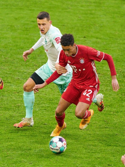Munich, Germany. 21st Nov, 2020. Jamal MUSIALA, FCB 42 compete for the ball, tackling, duel, header, zweikampf, action, fight against Maximilian EGGESTEIN, BRE 35 at the match FC BAYERN MUENCHEN - SV WERDER BREMEN 1-1 in the 1.German Bundesliga, Season 2020/2021, match day 8, Munich, Germany, November 21, 2020. Credit: Peter Schatz/Alamy Live News