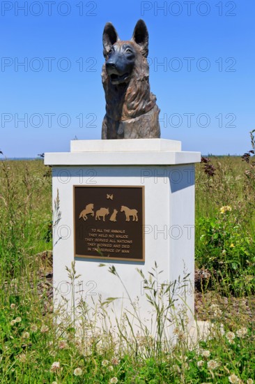 The Bronze Dog Statue, “Faithful Partner” at the WWI Animal War Memorial in Pozieres (Somme), France