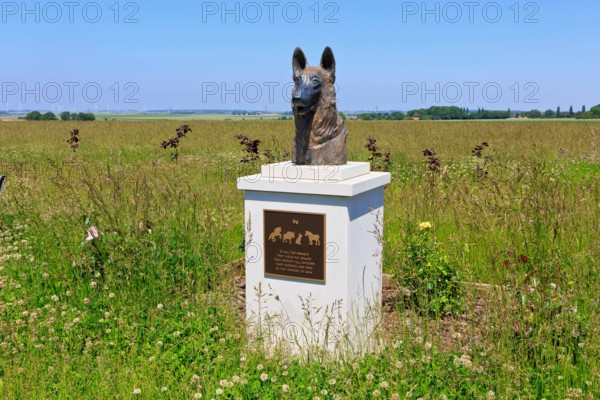 The Bronze Dog Statue, “Faithful Partner” at the WWI Animal War Memorial in Pozieres (Somme), France