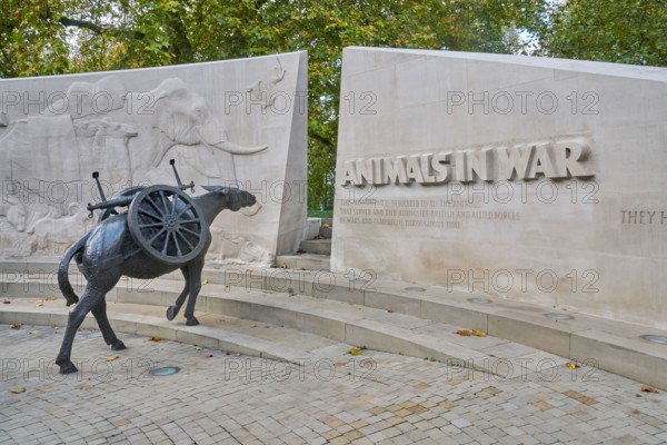 Animals in war memorial