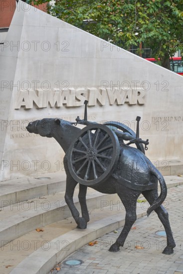 Animals in war memorial
