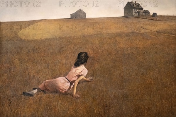 painting called Christina's World  by Andrew Wyeth at the MOMA art museum in New York