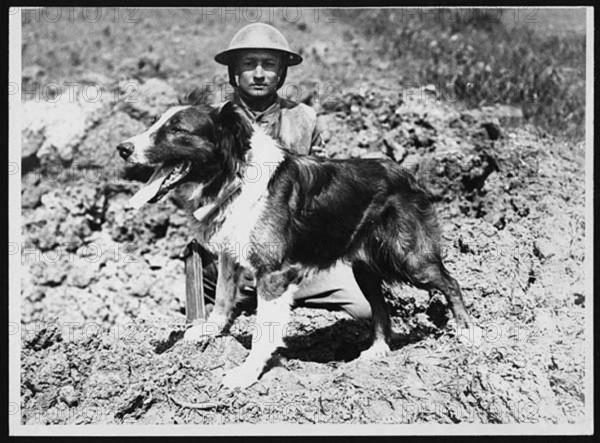 A messenger dog and its handler in France during World War I, highlighting the use of animals in military communication. These dogs played a crucial role in delivering messages across dangerous terrains.