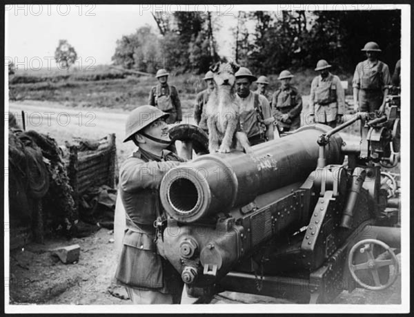 A dog sits triumphantly atop a field gun surrounded by gunners during World War I in France. The image captures a rare moment of levity amid the harsh realities of war. Animals, including dogs, were often present in military settings, offering comfort and companionship to soldiers during combat and downtime.