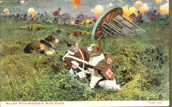 World War One postcard of Major Richardson's War Dogs offering First Aid