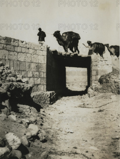 A historic photograph showing camel transport crossing a railway bridge near Beersheba, taken during the First World War.