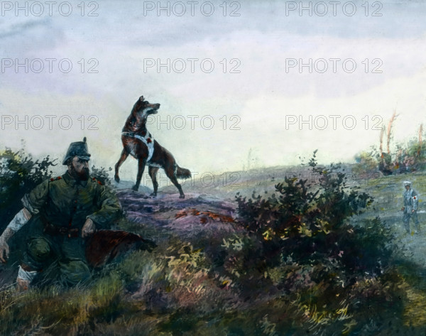 Ein Sanitätshund findet einen verletzten deutschen Soldaten. A dog of a corpsman finds a wounded German soldier. Germany, war, World War, WWI, 1, history, historical, 1910s, 20th century, archive, Carl Simon, hand coloured glass slide, German, Red Cross, First Aid, dog, wounded, soldier, battlefield, illustration