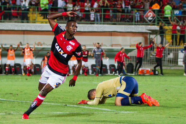 Rio De Janeiro, Brazil. 08th Nov, 2017. Player Vinícius Júnior do Flamengo celebrating the goal during the match between Flamengo and Cruzeiro held at the Estádio Luso Brasileiro (Ilha do Urubú) in Rio de Janeiro. The match is valid for the 33rd round of the Brasileirão 2017. Credit: Rodrigo Chadí/FotoArena/Alamy Live News