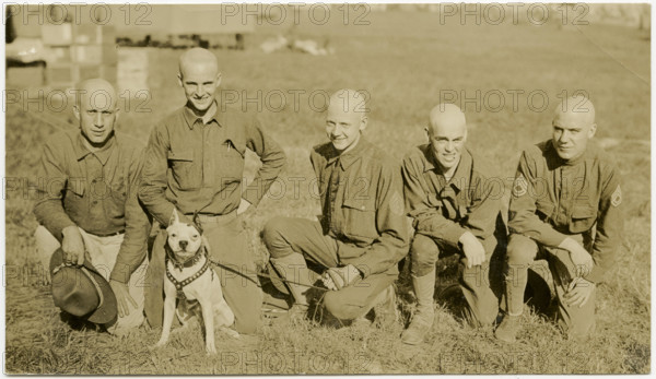 Horizontal, sepia photograph showing five uniformed soldiers kneeling in a grass field posing for a picture. One of the soldiers is holding the leash of a dog wearing a harness and a collar. Title: Five Soldiers Kneeling in Grass Posing for Picture With a Dog on a Leash.  . between circa 1914 and circa 1918. Michel, Carl