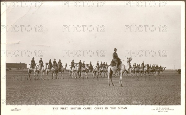 The First British Camel Corps in the Sudan circa 1915