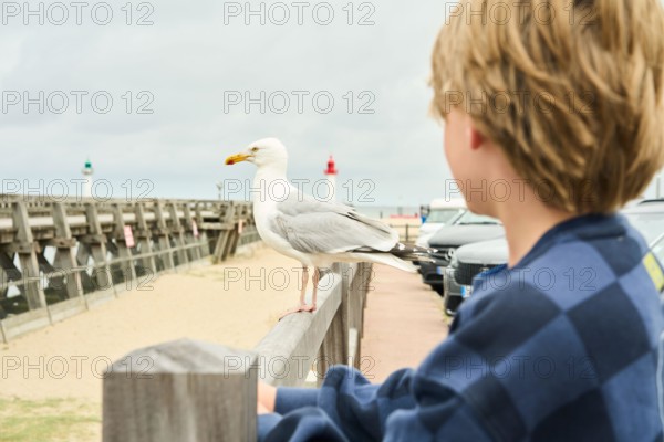 Boy watching bird at pier with lighthouse in the background