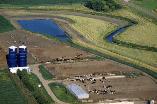 IOWA DAIRY FARM IOWA