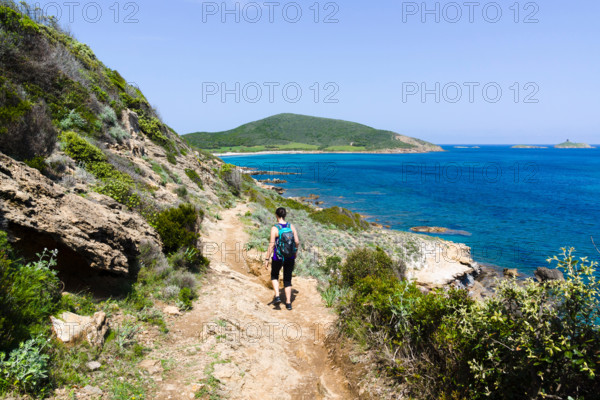 Sentier des douaniers, hiking trail, Cap Corse, Corsica, France