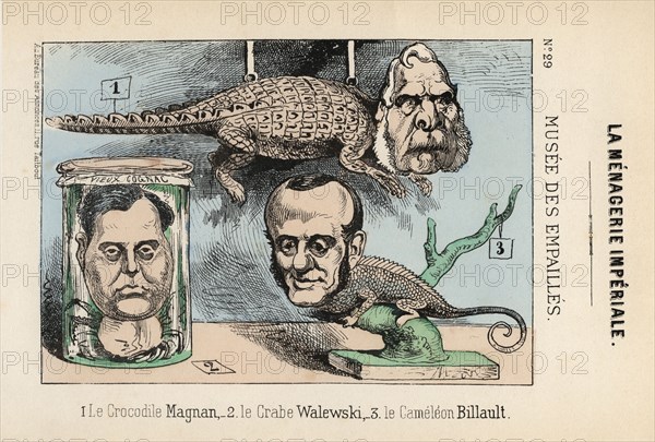 Museum of stuffed creatures. Caricature