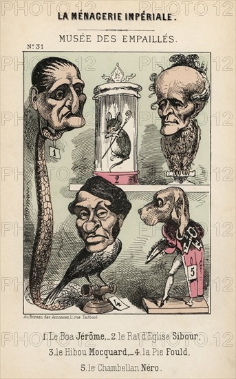 Musée des empaillés. Caricature