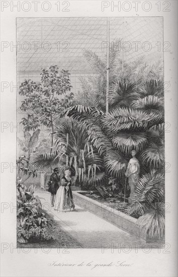 Intérieur de la grande serre du Jardin des Plantes de Paris