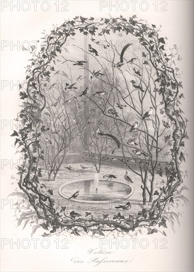 Volière des passereaux du Jardin des Plantes de Paris