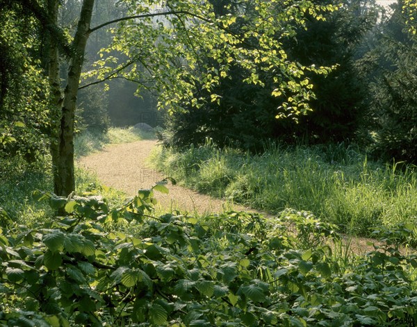 Garden Albert Kahn in Boulogne-Billancourt