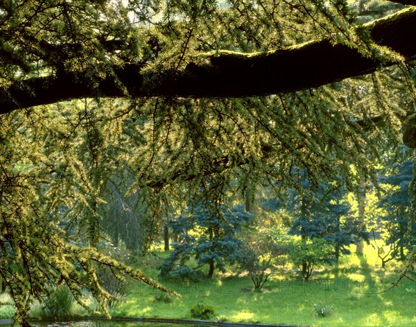 Jardins Albert Kahn à Boulogne-Billancourt