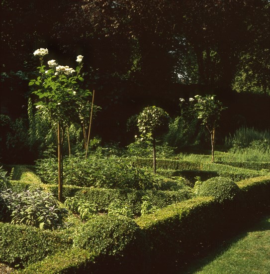 Jardin de l'ambassade de Grande-Bretagne à Paris