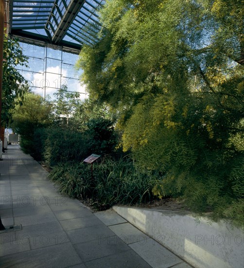 Grande serre du parc André Citroën à Paris