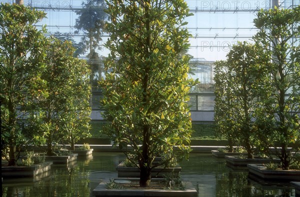 Grande serre du parc André Citroën à Paris